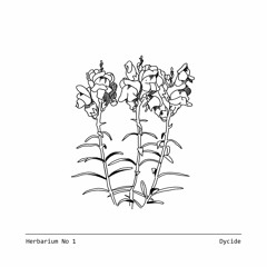 Herbarium No 1 - Dycide - Antirrhinum
