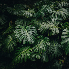 mummu et momomo - k33k (momomo's touch)