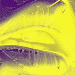 back at it (Free Download)