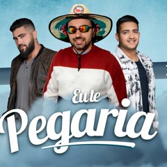 EU TE PEGARIA - HENRIQUE E JULIANO | DJ VINIZIN (FUNK REMIX)