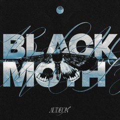 Audeon - BLACK MOTH / Sonar