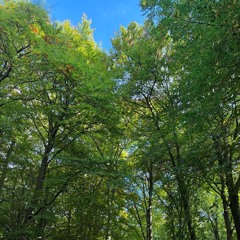 someone rap on this and make us both famous so I can get hella bitches and money n shii