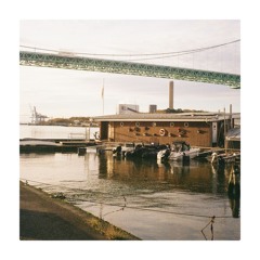 Un grand éventail gris