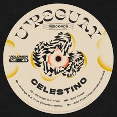 Celestino - Wild Times (Vasconcellos Remix)