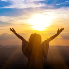 dont surrender_DICABOR_