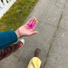 So it goes