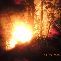 Are you sure you're sorry?