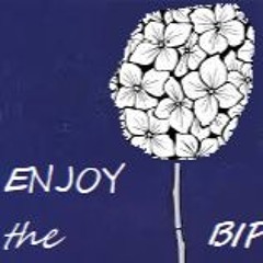 Depeche Mode - Enjoy The Bipper VS Kr!z - Equilibrium