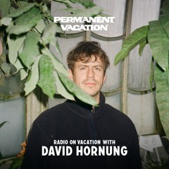 Radio On Vacation with David Hornung