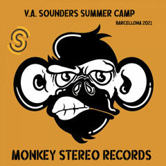 AnDe Trois - Savage (Original Mix) [Monkey Stereo Records]