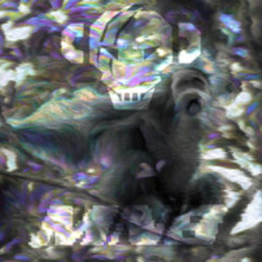 Jungle Skat