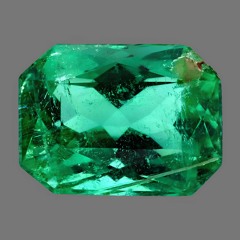 настя павлова в саду камней