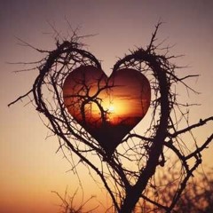 Where Did The Love Go.