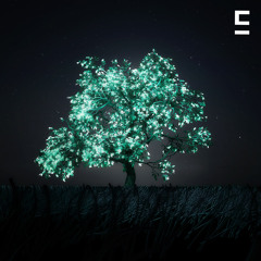 watching you were not here