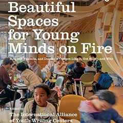 [View] [PDF EBOOK EPUB KINDLE] Unnecessarily Beautiful Spaces for Young Minds on Fire: How 826 Valen