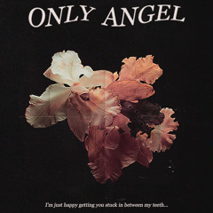 harry styles only angel alt lyrics