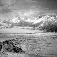 Generative Digital Series_01_Snippets