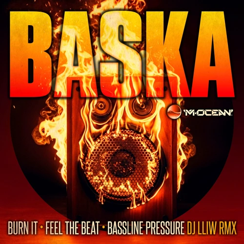 Artwork for the song Bassline Pressure (DJ Lliw Remix) by Baska on Next Sound