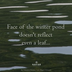 Face Of The Winter Pond (Naviarhaiku 540 )