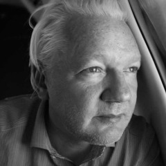 USA v. Assange plea agreement hearing