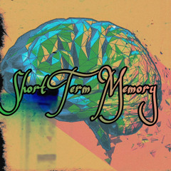 Short Term Memory