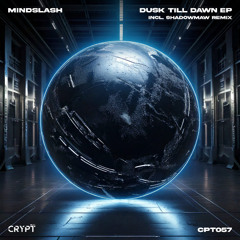Mindslash - Dusk Till Dawn (Radio Edit)