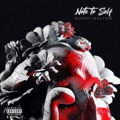 Note to Self - Sunny Malton