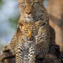 Talja (Official Video) Jassa Dhillon | Deepak Dhillon | Gur Sidhu | Punjabi Song |