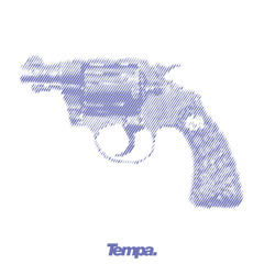 Concealed Weapon