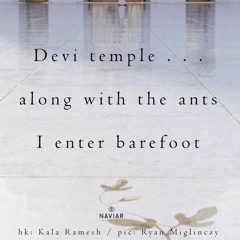 Boson Spin - Devi Temple [naviarhaiku356]