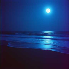 RainyDay meets Dancing in the Moonlight (Remix 4.0 Radio Edit)