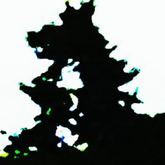 Everythings Nice (in winter!)