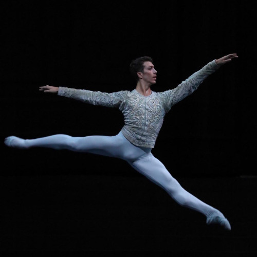 Il catalogo è questo 26-9-2025 Mattia Semperboni (Trittico Scala) - L'ancêtre di Saint-Saëns