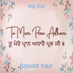 Tu Mere Pran Adhare