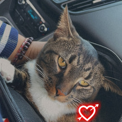 Trash Ahh beat FREE DIRECT DL