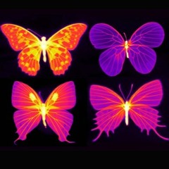 |||Monarch|||
