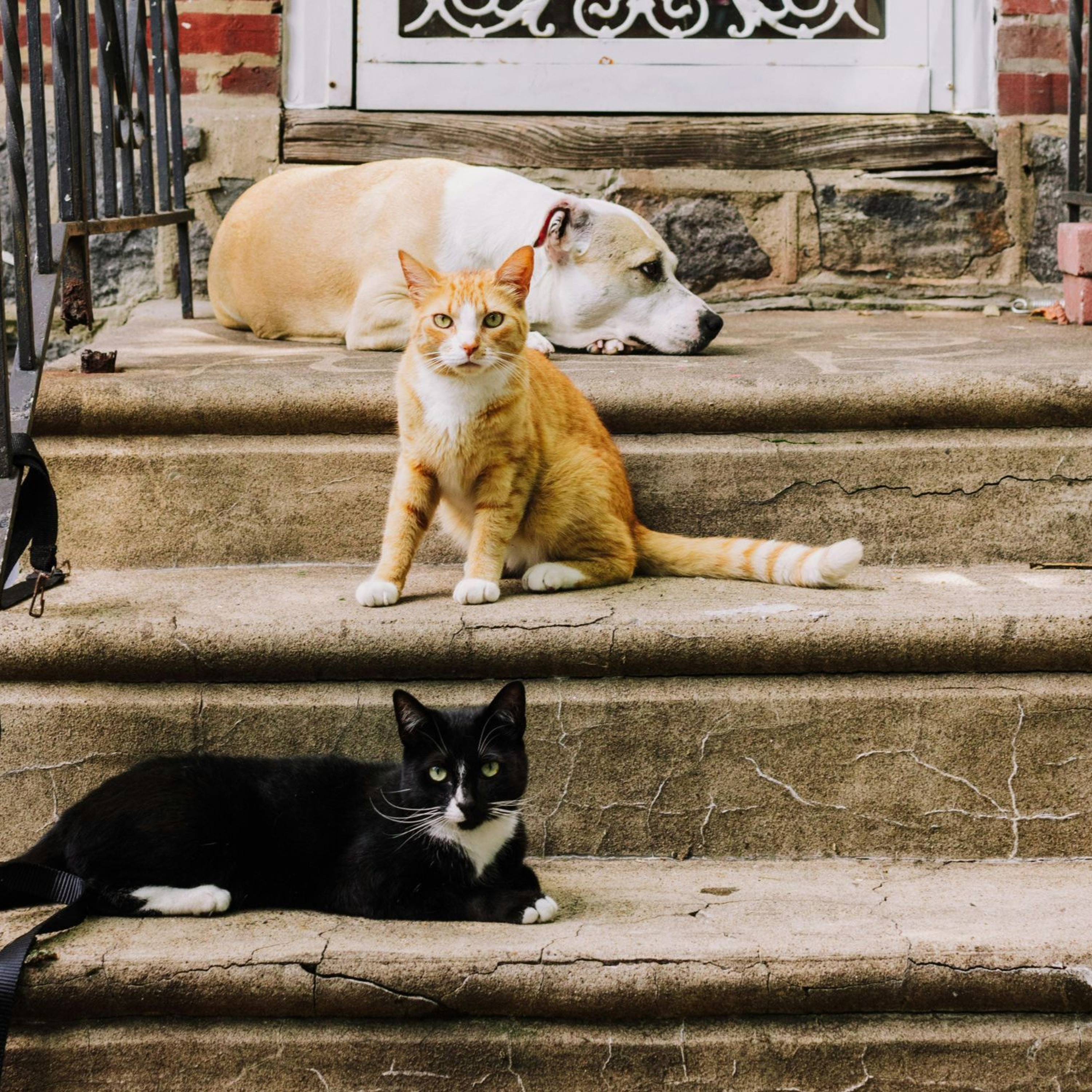 Rádio Cruz de Malta FM 89,9