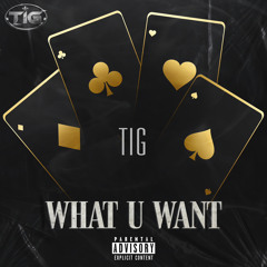 TIG - What U Want