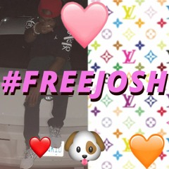 #FREEJOSH
