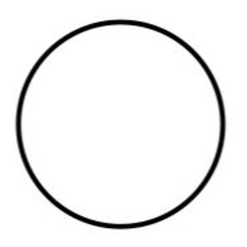 paradox