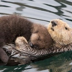 I Got You