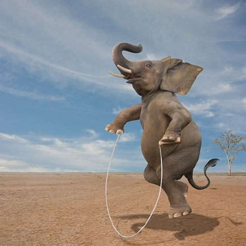 Let's bounce --- A Make Believe live set ;)