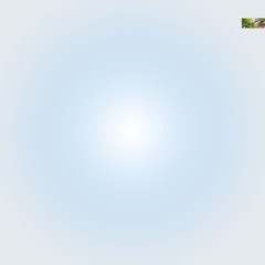 club random (十一) [113-126bpm]