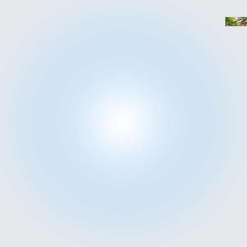 club random (十一) [113-126bpm]