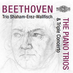 02 05 Piano Trio in B Flat Major, Op. 11 'Clarinet Trio' I. Allegro con brio