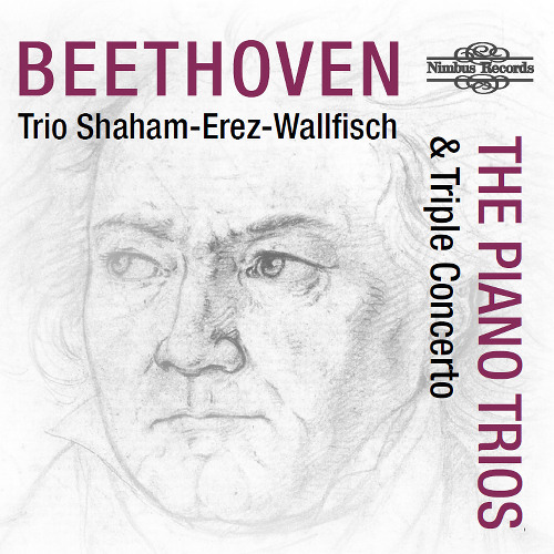02 05 Piano Trio in B Flat Major, Op. 11 'Clarinet Trio' I. Allegro con brio