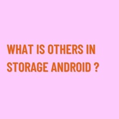 What is Others in Samsung Storage