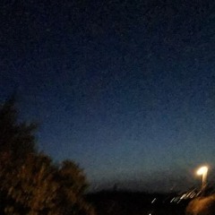 Whats wrong with the world mama