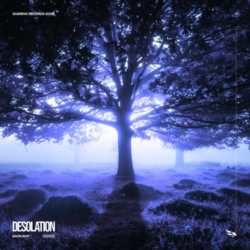 Backlight - Desolation