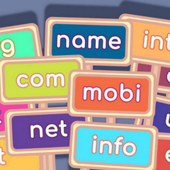 Why is it important to save a domain and not a website